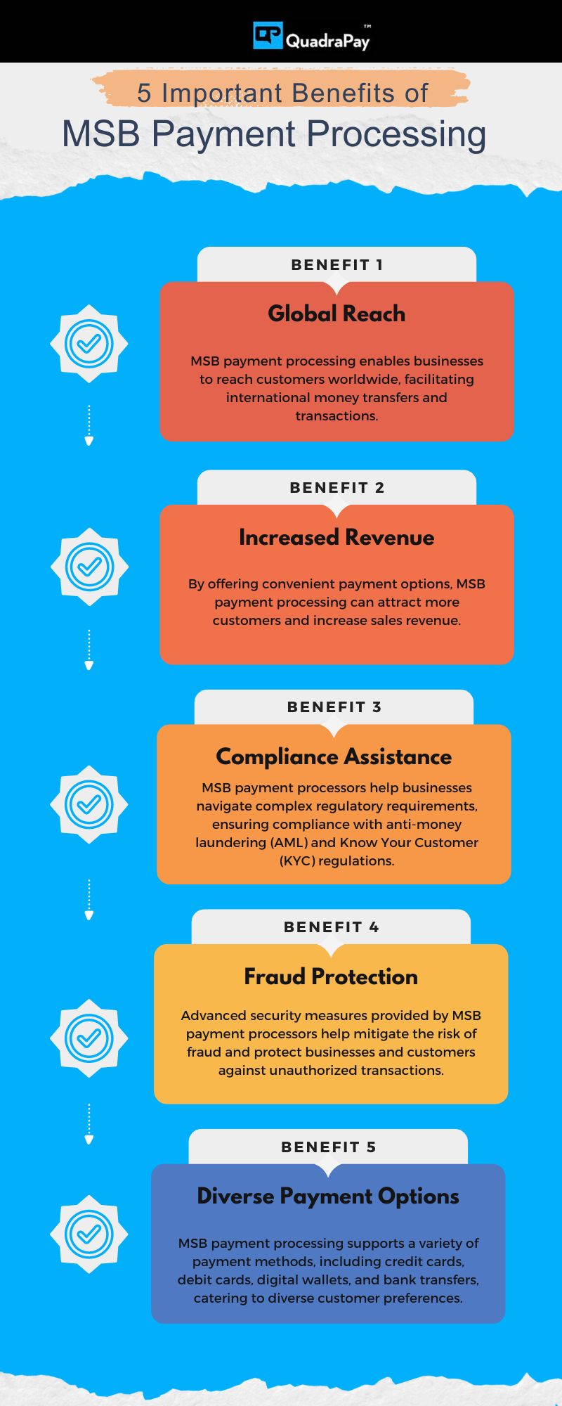 MSB Payment Processing Infographics