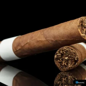 cigar website merchant account