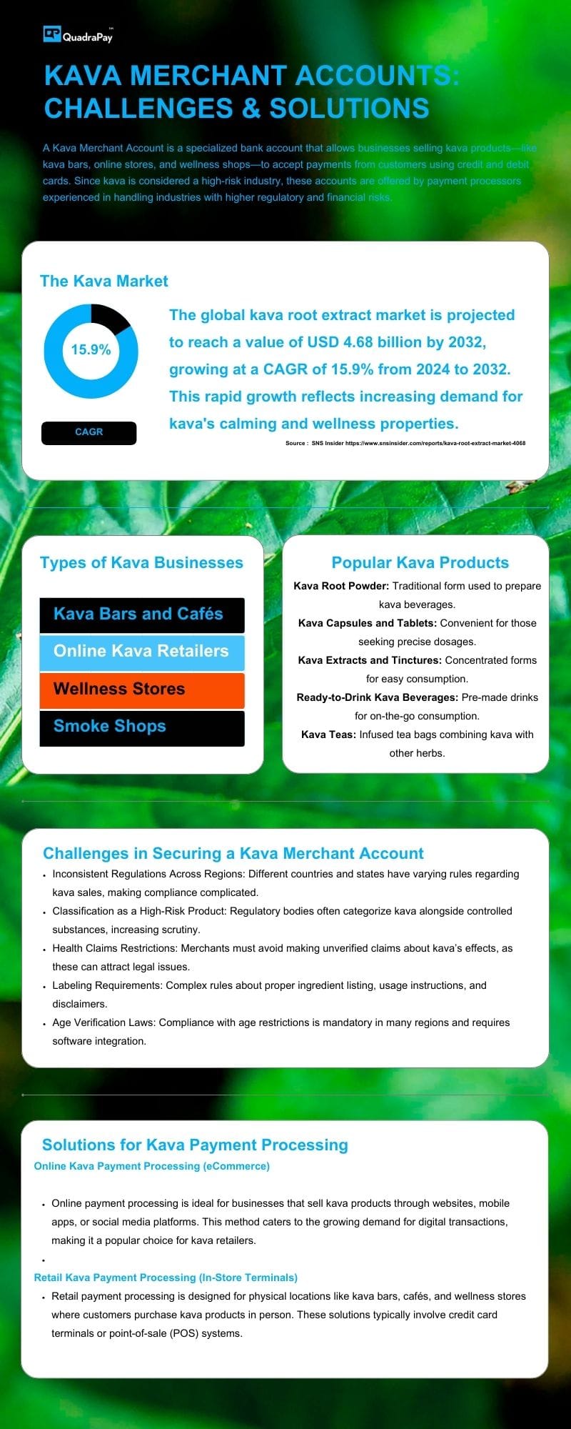 Infographic summarizing key challenges, solutions, and strategies for securing Kava merchant accounts, including market insights, payment processing types, and compliance tips.